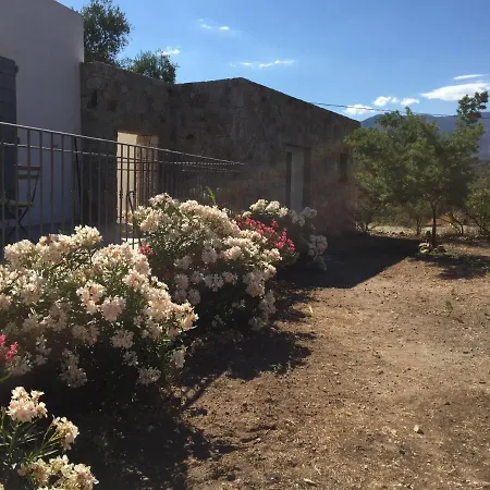 Maison Des Oliviers Tesa Avec Piscine Casa de Férias