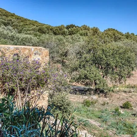 Maison Des Oliviers Tesa Avec Piscine Occhiatana
