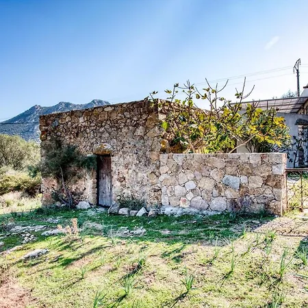 Maison Des Oliviers Tesa Avec Piscine *
