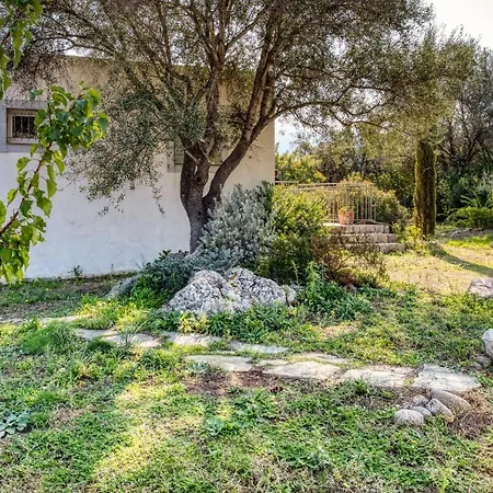 Maison Des Oliviers Tesa Avec Piscine * Occhiatana